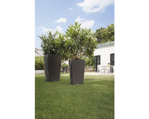 Twee hoge plantenbakken met planten in de tuin