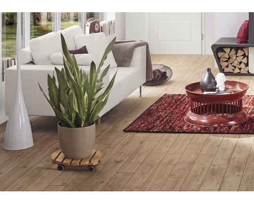 Woonkamer met houten vloer, bank, tafel en kamerplant