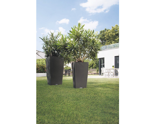 Twee plantenbakken met planten in de tuin