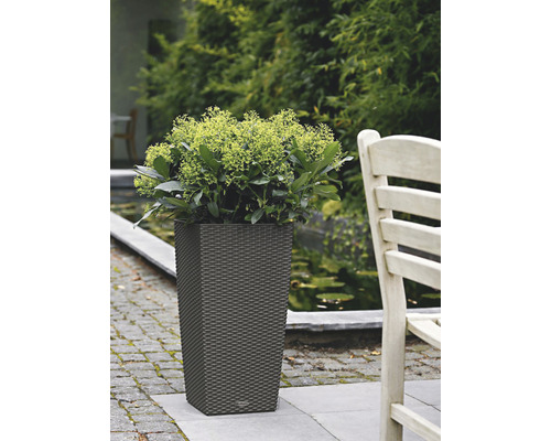 Hoge, rechthoekige plantenbak in de tuin met planten