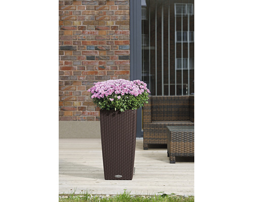 Bloempot met bloemen in een tuinomgeving