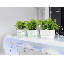 Drie witte plantenbakken met planten op een aanrecht met barkrukken