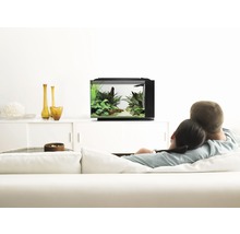Stel ontspant op een bank en kijkt naar een aquarium in de woonkamer