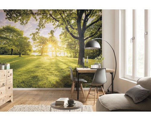 Woonkamer met een fotobehang dat een landschap met bomen en zonlicht voorstelt en een heldere en natuurlijke sfeer creëert