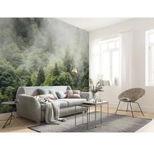 Woonkamer met fotobehang van een bos in de mist