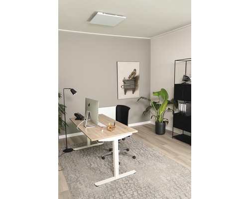 Modern kantoor met in hoogte verstelbaar bureau, plafondverwarming en kamerplant