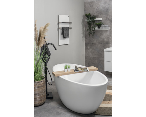 Moderne badkamer met vrijstaand bad, handdoekverwarmer en decoratieve elementen voor een heldere en georganiseerde sfeer