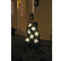 Decoratieve struik met sterrenlichtslinger buitenshuis