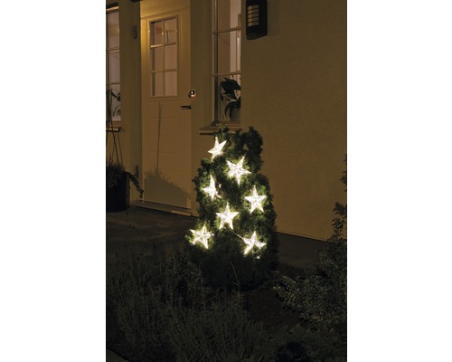 Decoratieve struik met sterrenlichtslinger buitenshuis
