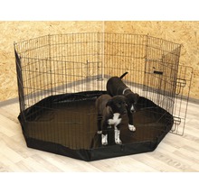Loopstal met deur en twee puppy''s