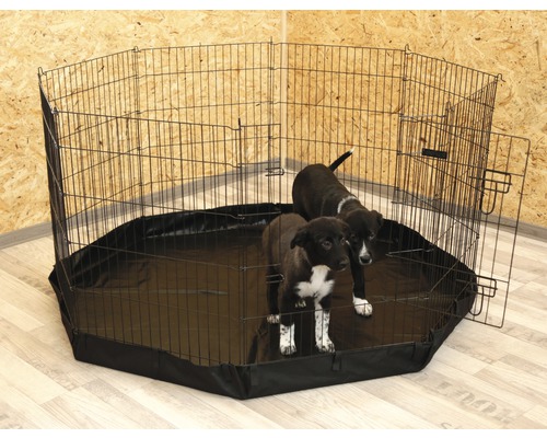 Loopstal met deur en twee puppy''s