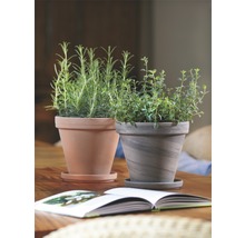 SPANG Bloempot aardewerk basalt antraciet Ø 13 cm H 12 cm