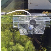 Kweekbak in aquarium voor viskweek