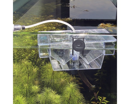 Kweekbak in aquarium voor viskweek