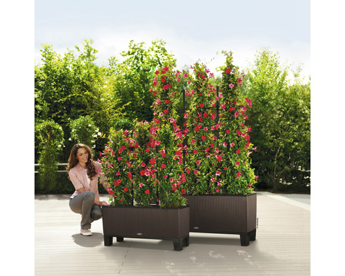 Twee kunststof plantenbakken met klimplanten en een vrouw in de tuin.