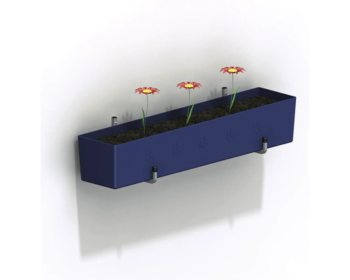 Blauwe wandbloembak met drie rode madeliefjes