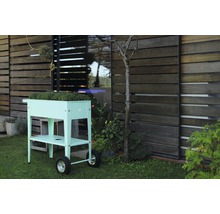 Rolbare plantenbak met kruiden in de tuin