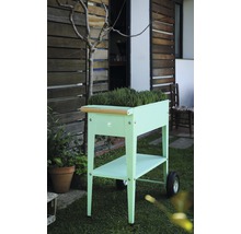 Verhoogde tuinbak op wielen met plank in de tuin