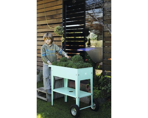 Een jongen staat naast een rolbare plantenbak in de tuin.