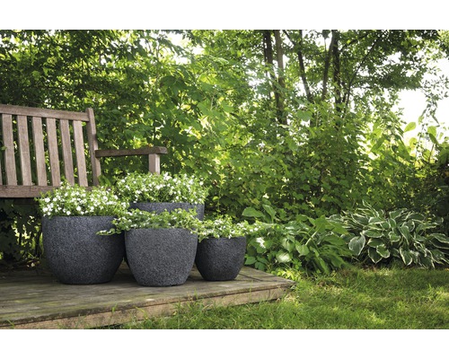 Tuinscene met bloemen in plantenbakken op een houten terras onder een boom