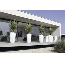 Scene met planten in plantenbakken voor een modern gebouw