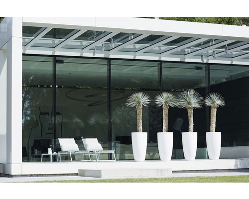 Modern terras met glazen gevel, wit tuinmeubilair en vier potplanten