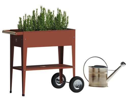 Verhoogde plantenbak met wielen, plank en planten naast een gieter