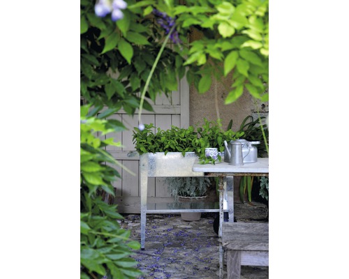 Tuinscene met plantenbak op tafel en omliggende vegetatie