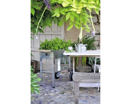 Tuinscene met kruiden in een verrijdbare plantenbak en een tafel met theepot