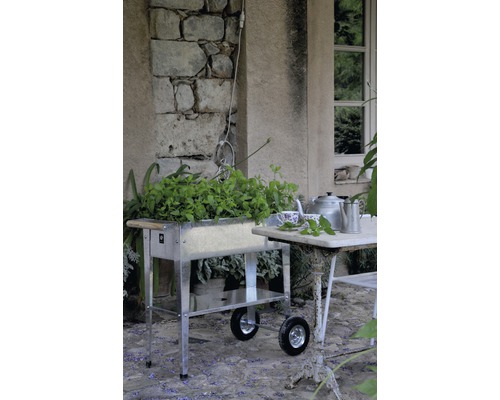 Verrijdbare kruidentuin van metaal met planten en een kleine tafel met theepot buiten.