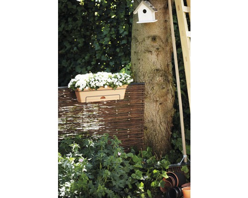 Tuinscene met bloembak, gevlochten schutting, boom en vogelhuisje