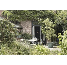 Een tuin met een bakstenen muur, begroeid met planten en een eettafel met stoelen.