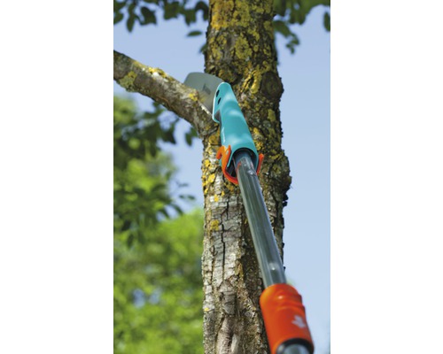 Takkenschaar bij het snoeien van een tak.