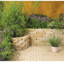 Tuinscene met muur van stenen blokken, beplant met verschillende planten