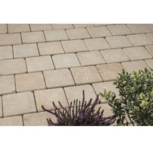 Betontegels als bestrating met planten