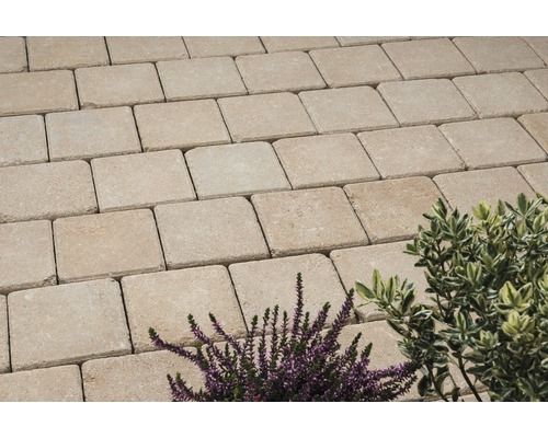 Betontegels als bestrating met planten