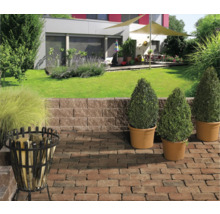 Aangelegde tuin met planten, bestrating, steunmuur en vuurkorf