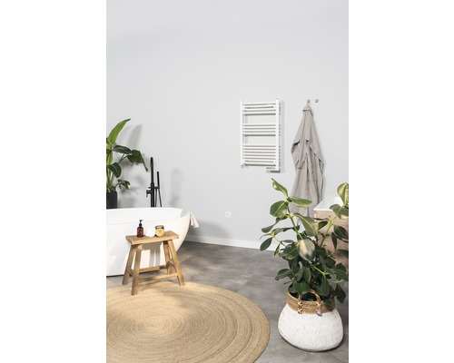 Badkamer met bad, handdoekradiator en decoraties