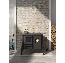 Interieurfoto met een fornuis, een theeketel, brandhout en een gemetselde muur