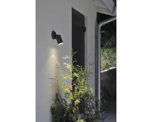 Een buitenwandlamp verlicht een plant naast een deur.