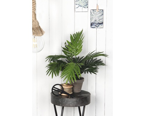 Decoratieve scène met kamerplant, spoel garen en schaar op een tafel