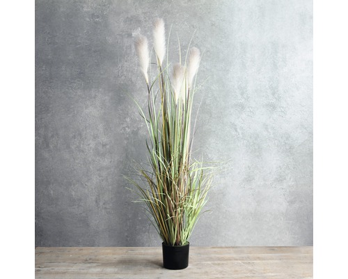 Siergras in pot als decoratie