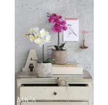 Decoratieve orchideeën in potten op een ladekast