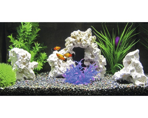 Gedecoreerd aquarium met vissen, stenen en kunstplanten.