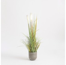 Kunst sierplant in pot