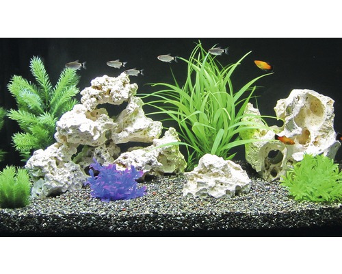 Decoratief aquarium met vissen, planten en stenen