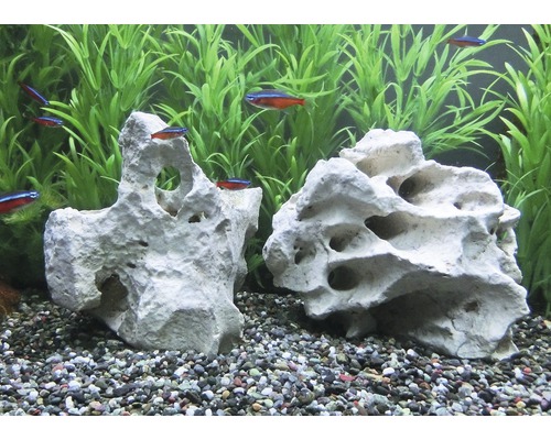 Decoratief aquarium met stenen, planten en vissen