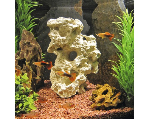Decoratief aquarium met vissen, planten en stenen