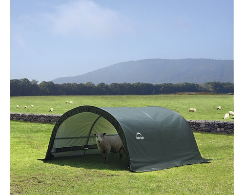 Landschap met een schaap in een schuilplaats in een weide