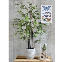 Decoratieve bamboeplant in pot met vlinderfoto op de achtergrond